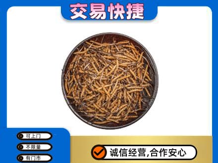 抚州礼品回收虫草.jpg
